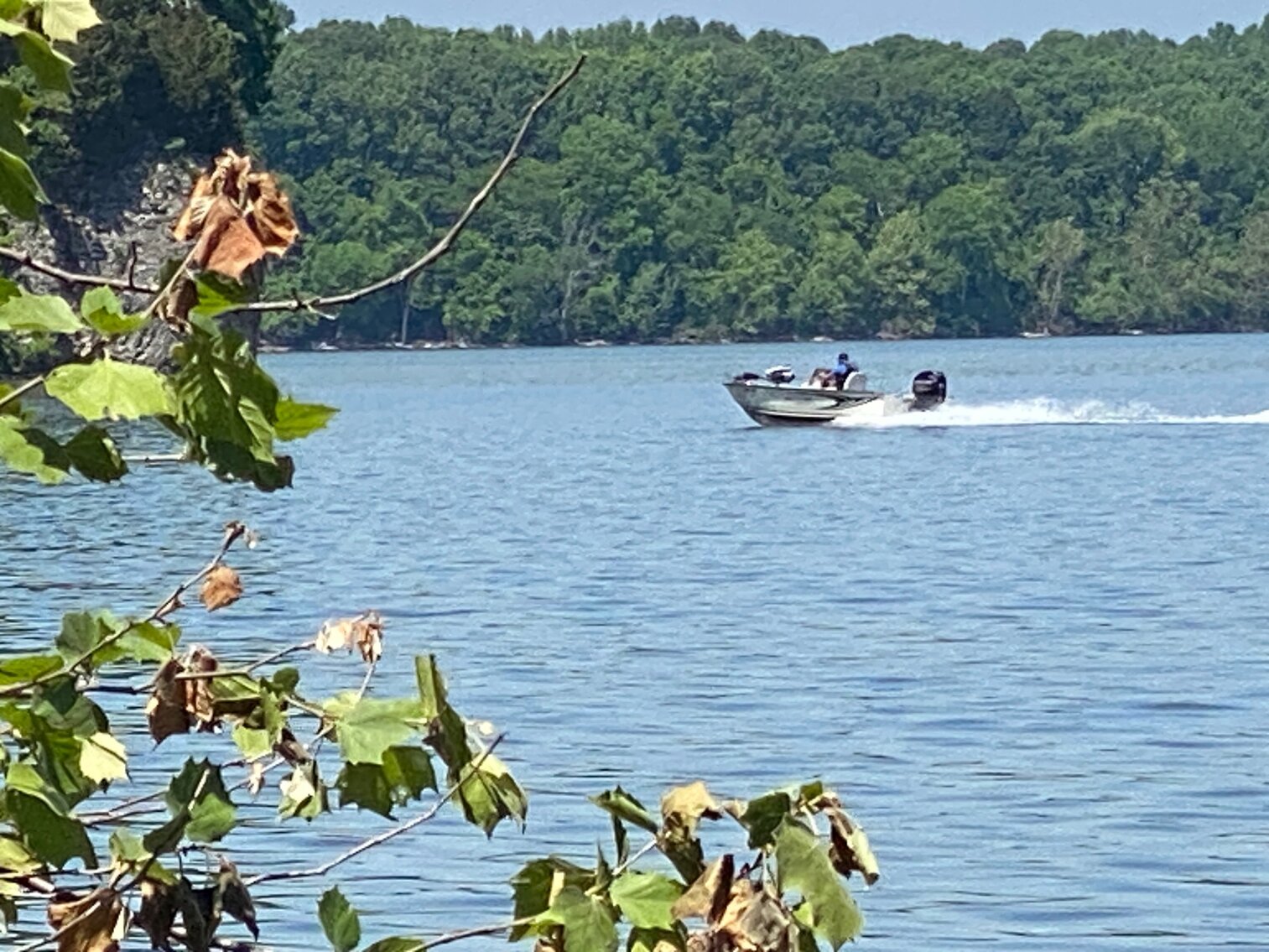 Image for ABSOLUTE ONLINE ONLY AUCTION • +/-1.55 ACRE WATERFRONT TRACT