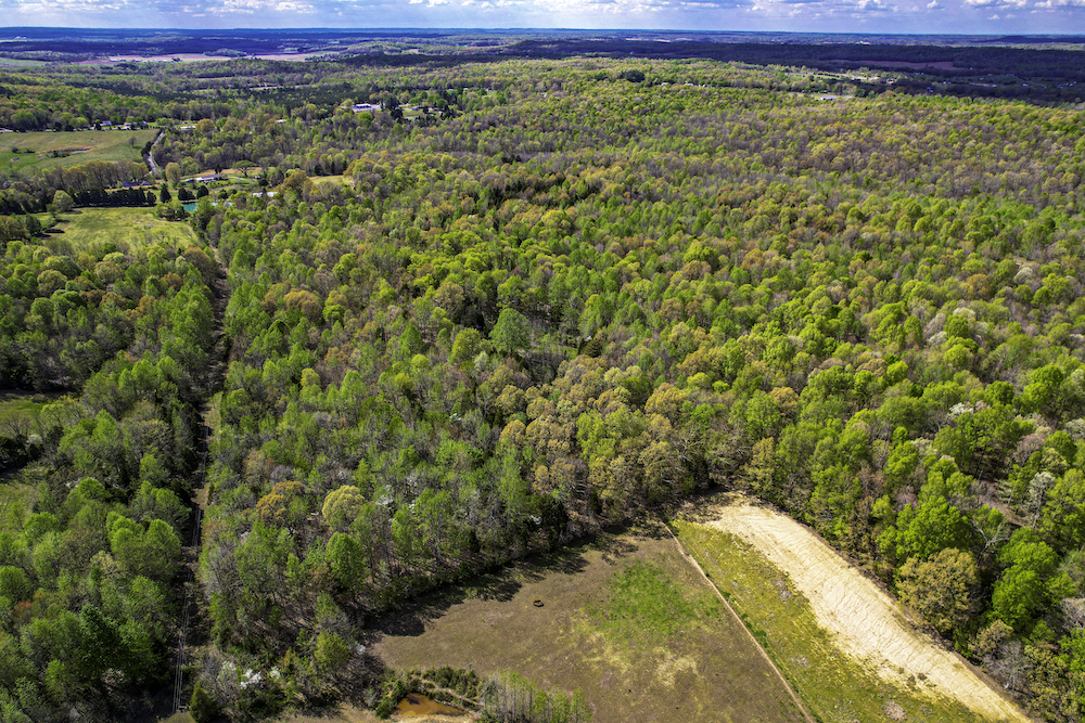Image for 115 +/- AC・Eight Mile Lane・Greenville