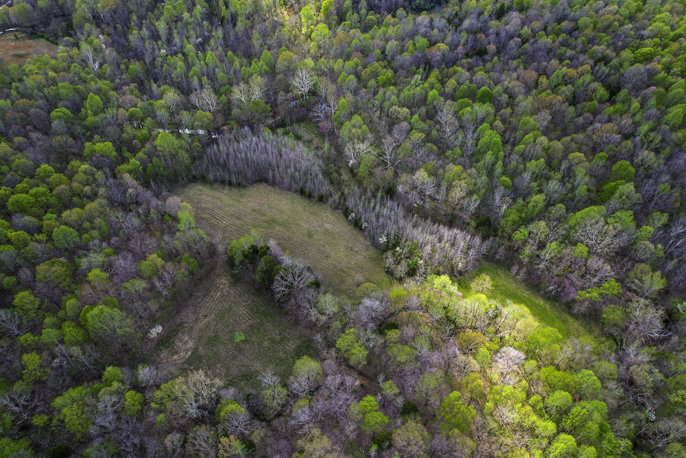 Image for 115 +/- AC・Eight Mile Lane・Greenville