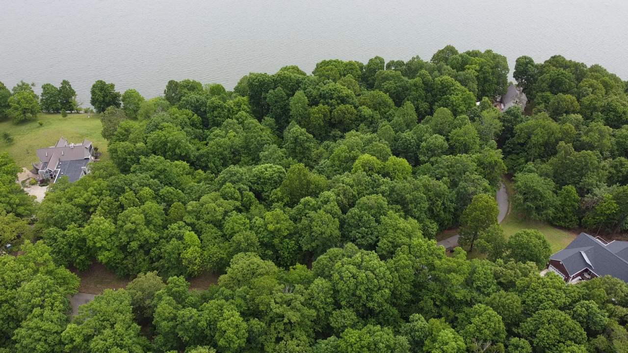 Image for ABSOLUTE ONLINE ONLY AUCTION • +/-1.55 ACRE WATERFRONT TRACT