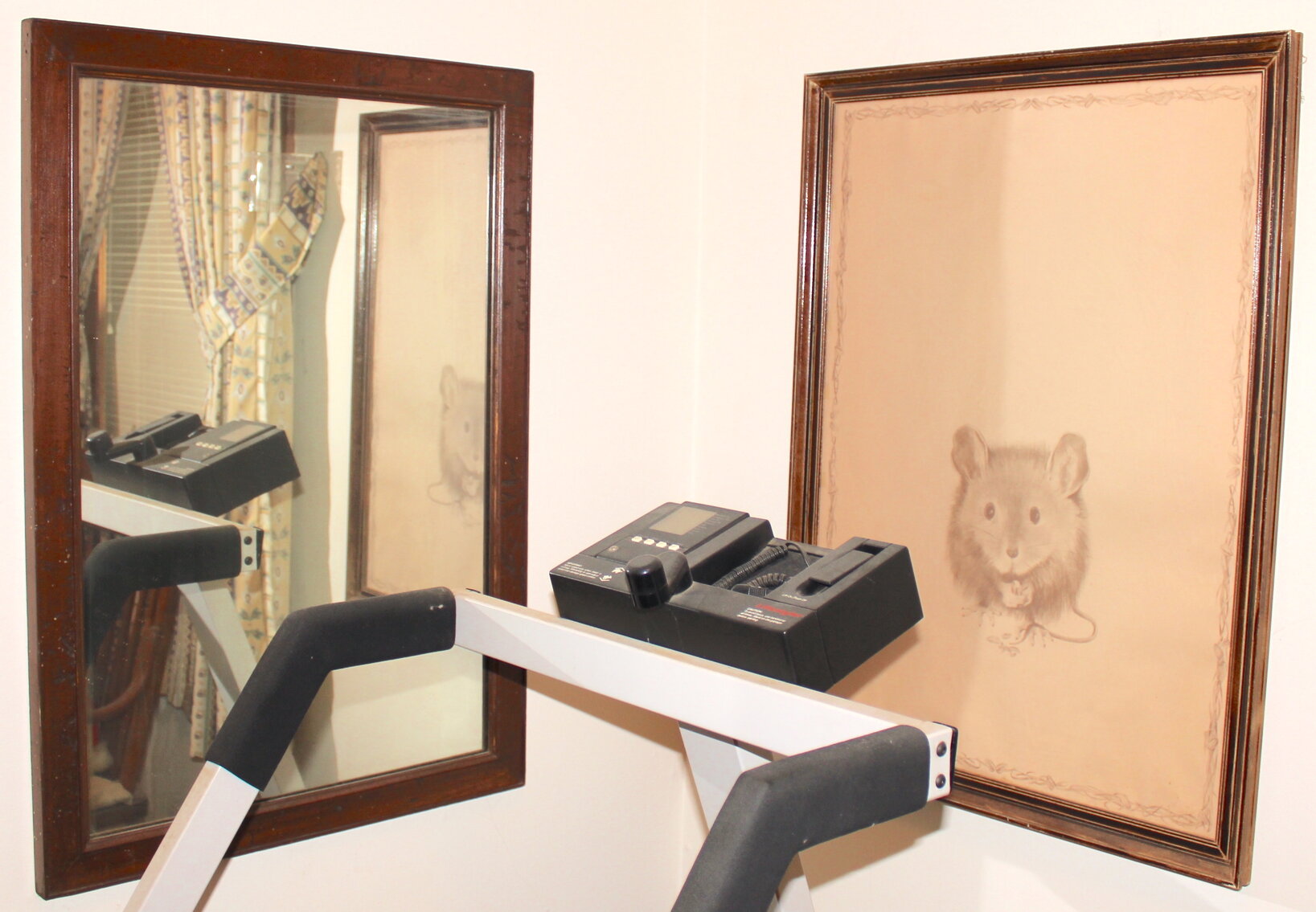 Image for VINTAGE TIME CAPSULE LIVING ESTATE AUCTION