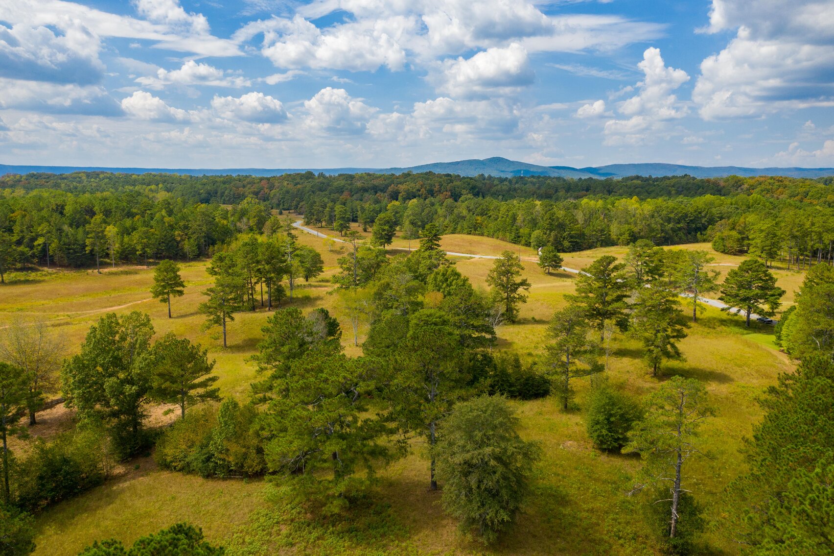 Image for 432 Acres of Recreational Land in Georgia...SOLD