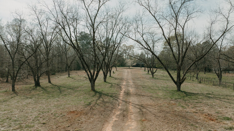 Image for Closed: 16.82+/- Equestrian Property and Home in Henry County, Georgia