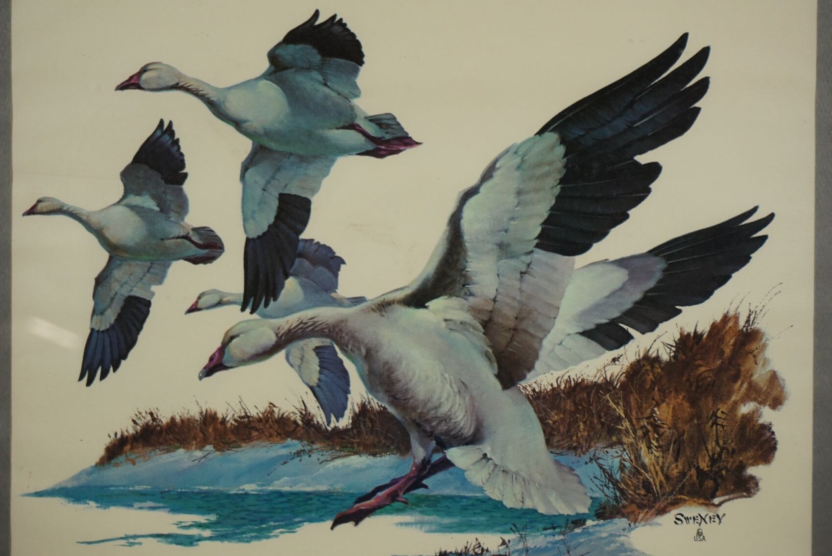 Image for May Online Sportsman's Auction 2023