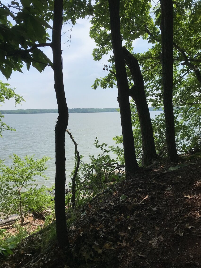 Image for ABSOLUTE ONLINE ONLY AUCTION • +/-1.55 ACRE WATERFRONT TRACT