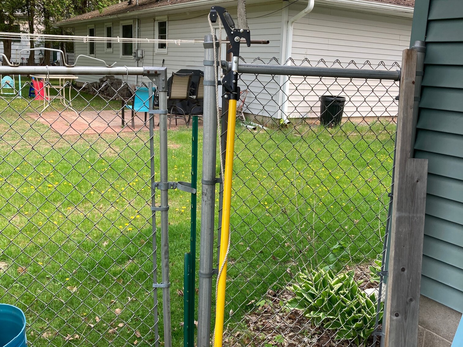 10’ Pole Tree Trimmer