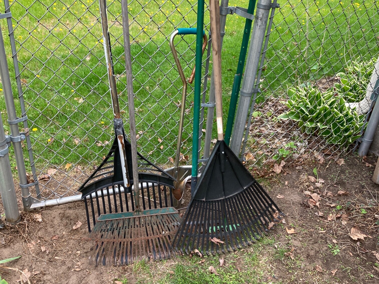 Rakes And Planter