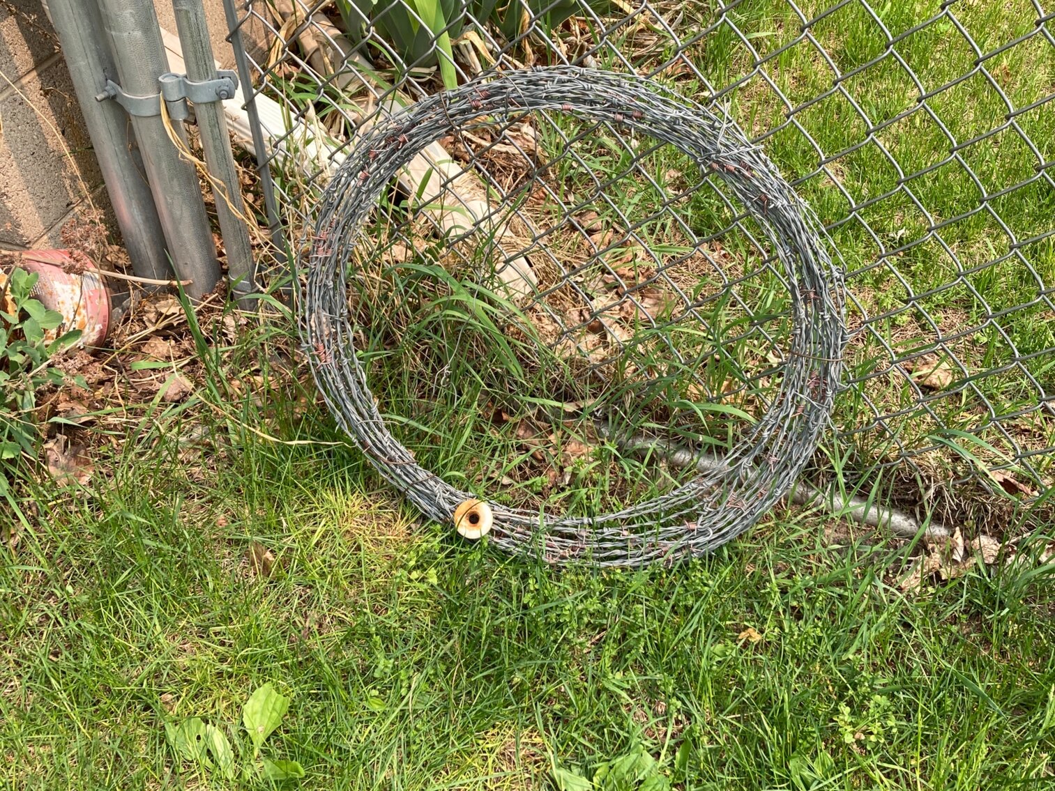 Barbed Wire