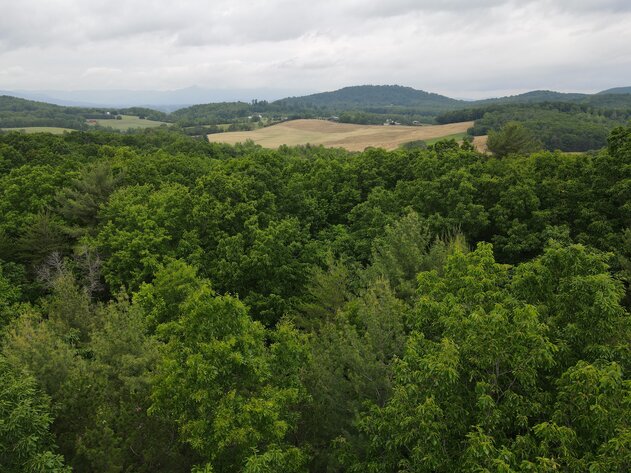 Image for Hatchet Ridge Lane  Callaway, VA