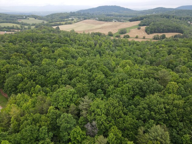 Image for Hatchet Ridge Lane  Callaway, VA