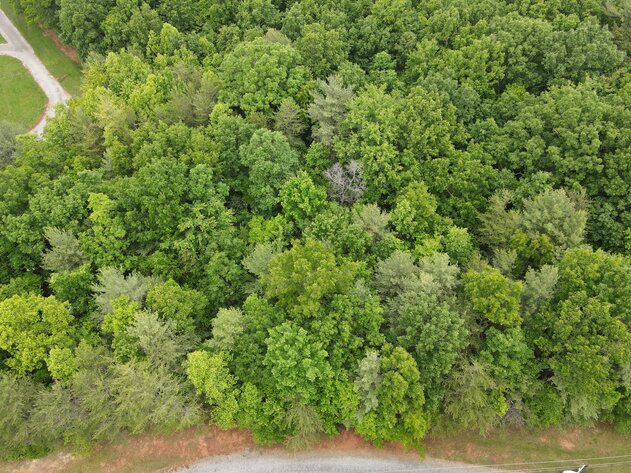Image for Hatchet Ridge Lane  Callaway, VA