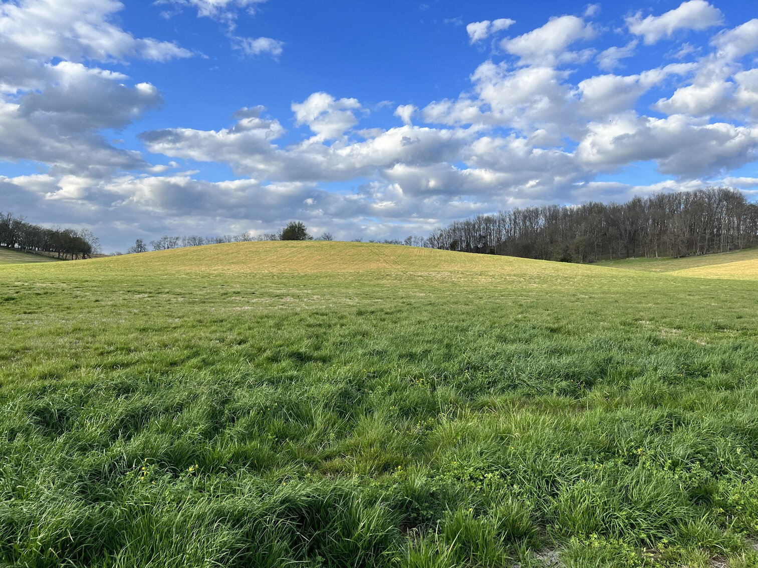 Image for Tracts 5 & 7 John Brinkley Road, Shelbyville