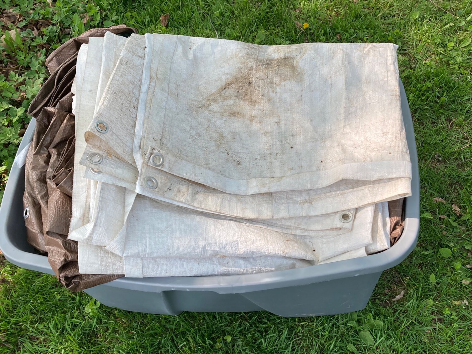 Tote Of Tarps