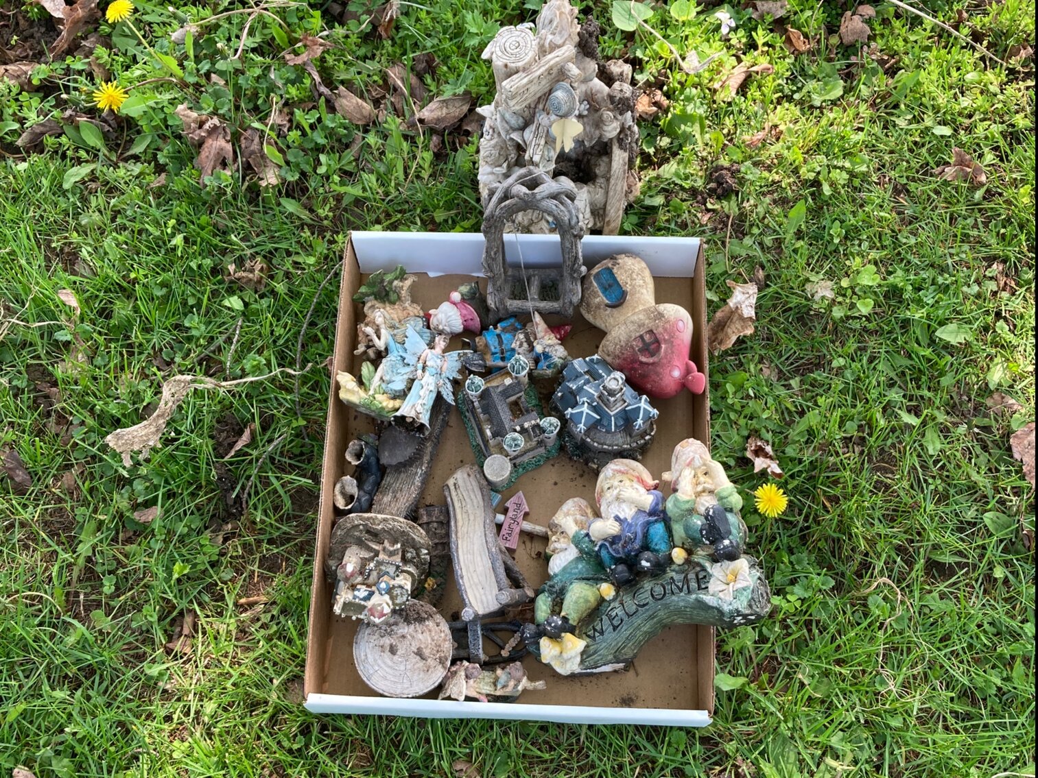 Gnome And Fairy