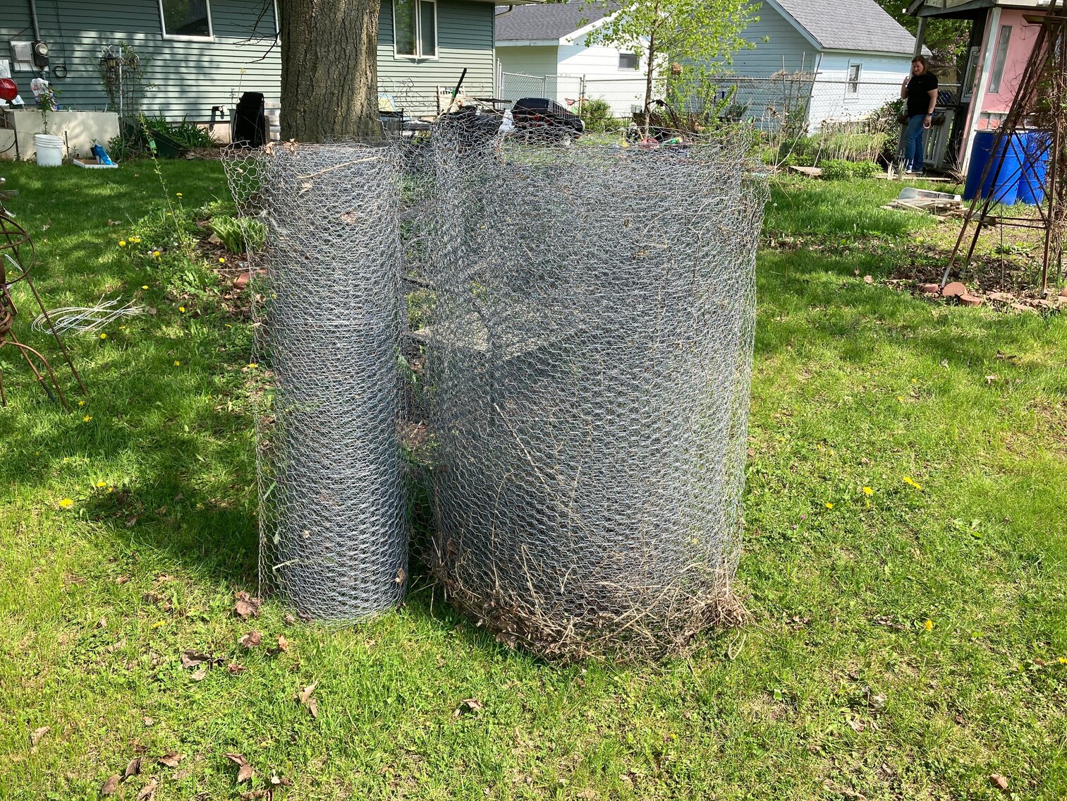 Chicken Wire 