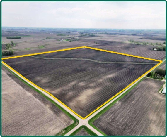 Image for Closed - Watonwan Co., MN - 160.00 Ac., m/l (190-0196-02)