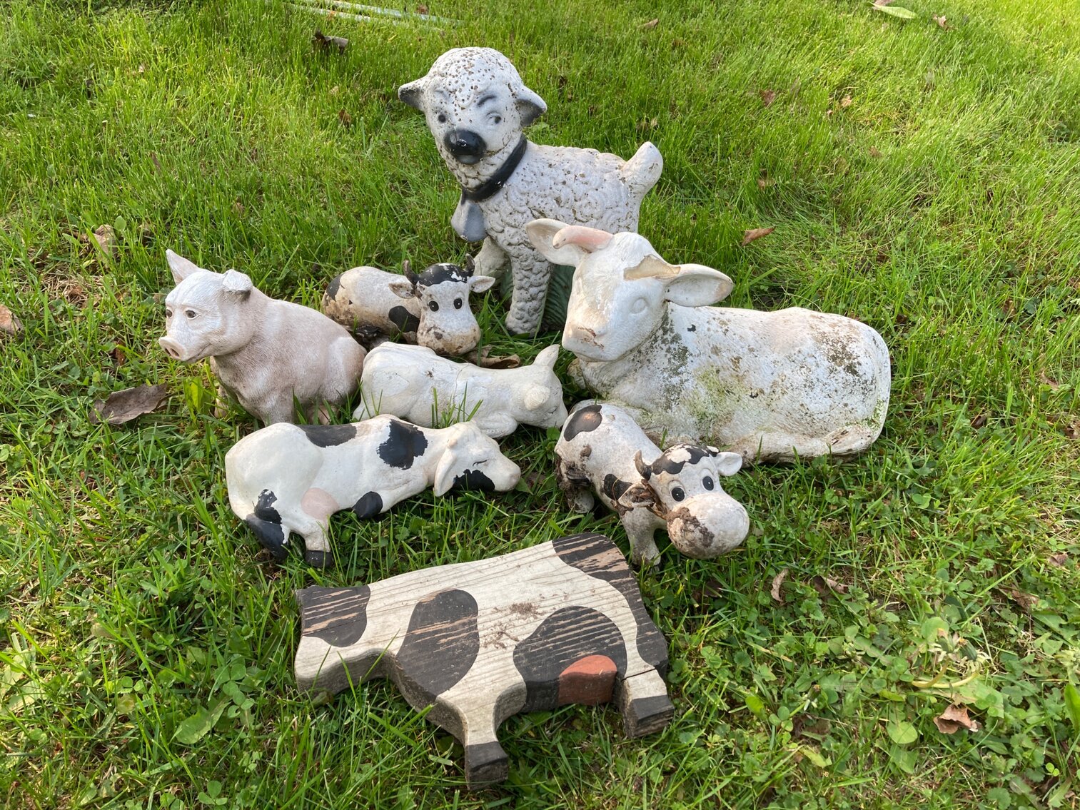 Farm Animals 