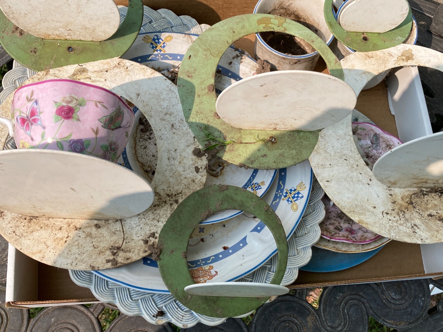 Cow Plates