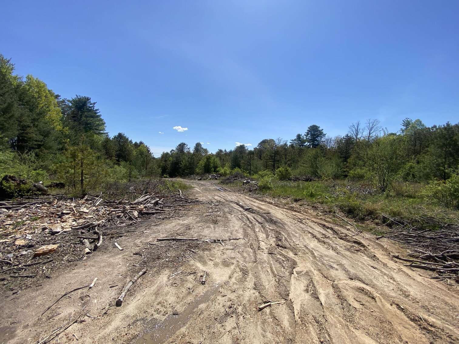 Image for SOLD $275,000 - 8 Acres of Prime Commercial Land