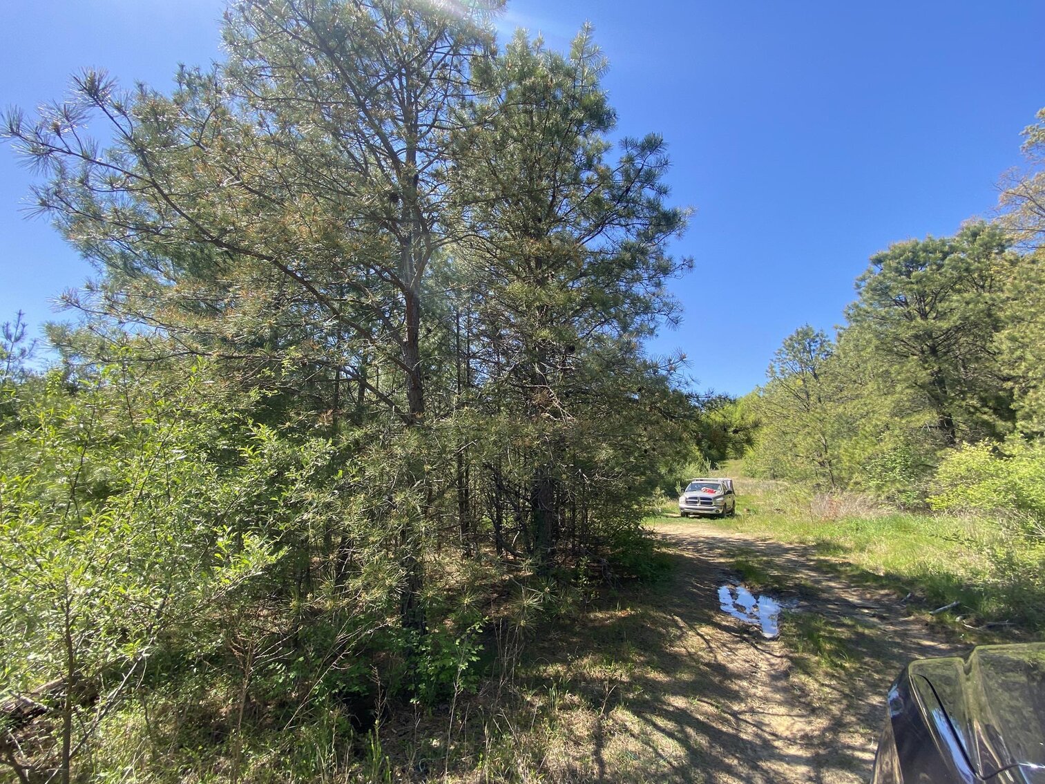 Image for SOLD $275,000 - 8 Acres of Prime Commercial Land