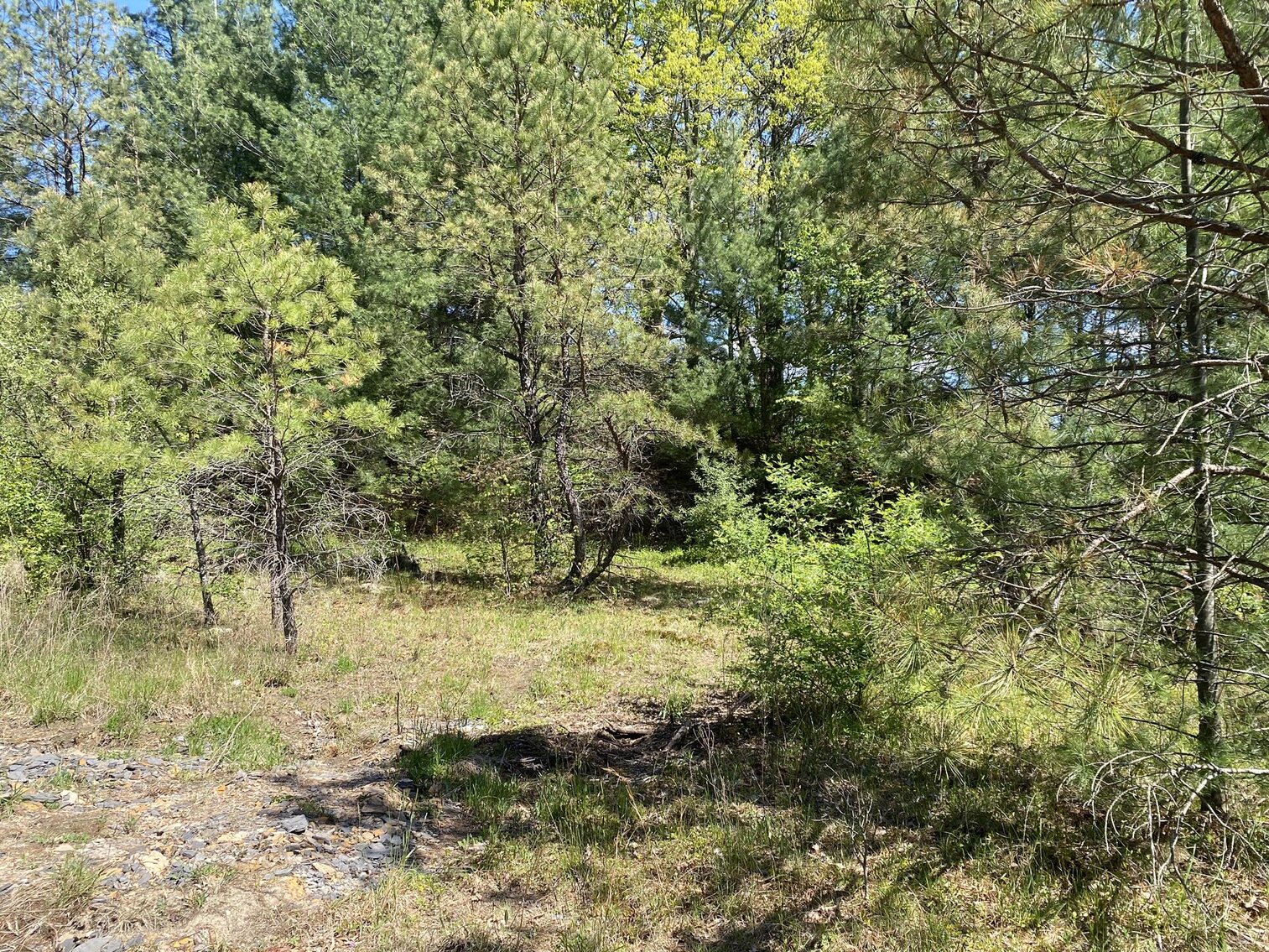 Image for SOLD $275,000 - 8 Acres of Prime Commercial Land