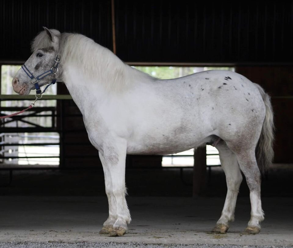 Image for KS Select Spring Sale - Clarion, Pennsylvania May 20th