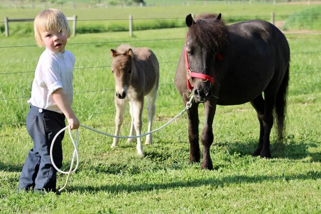 Image for KS Select Spring Sale - Clarion, Pennsylvania May 20th