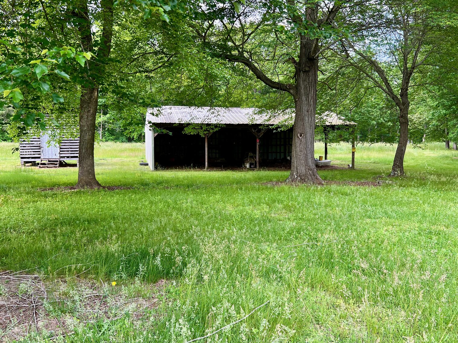 Image for 3 BR/1 BA Brick Home on 4 +/- Acres w/Walk-Out Basement, Outbuildings & 380'+/- of Frontage on Old Plank Rd.--Spotsylvania County, VA