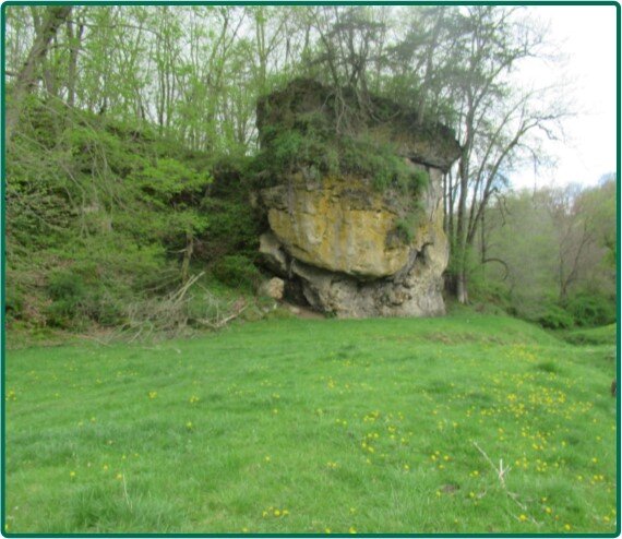 Image for Closed - Jones Co., IA - 256.50 Ac., m/l (010-2426-01)