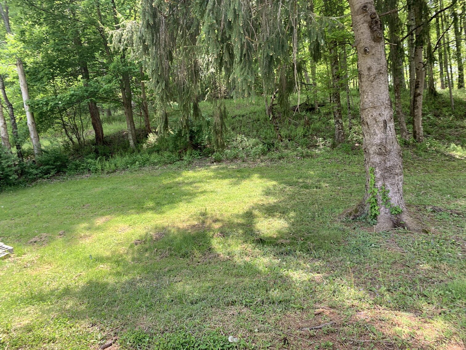 Image for SOLD $38,500 - 3 Bedroom in Philippi Selling to the Highest Bidder