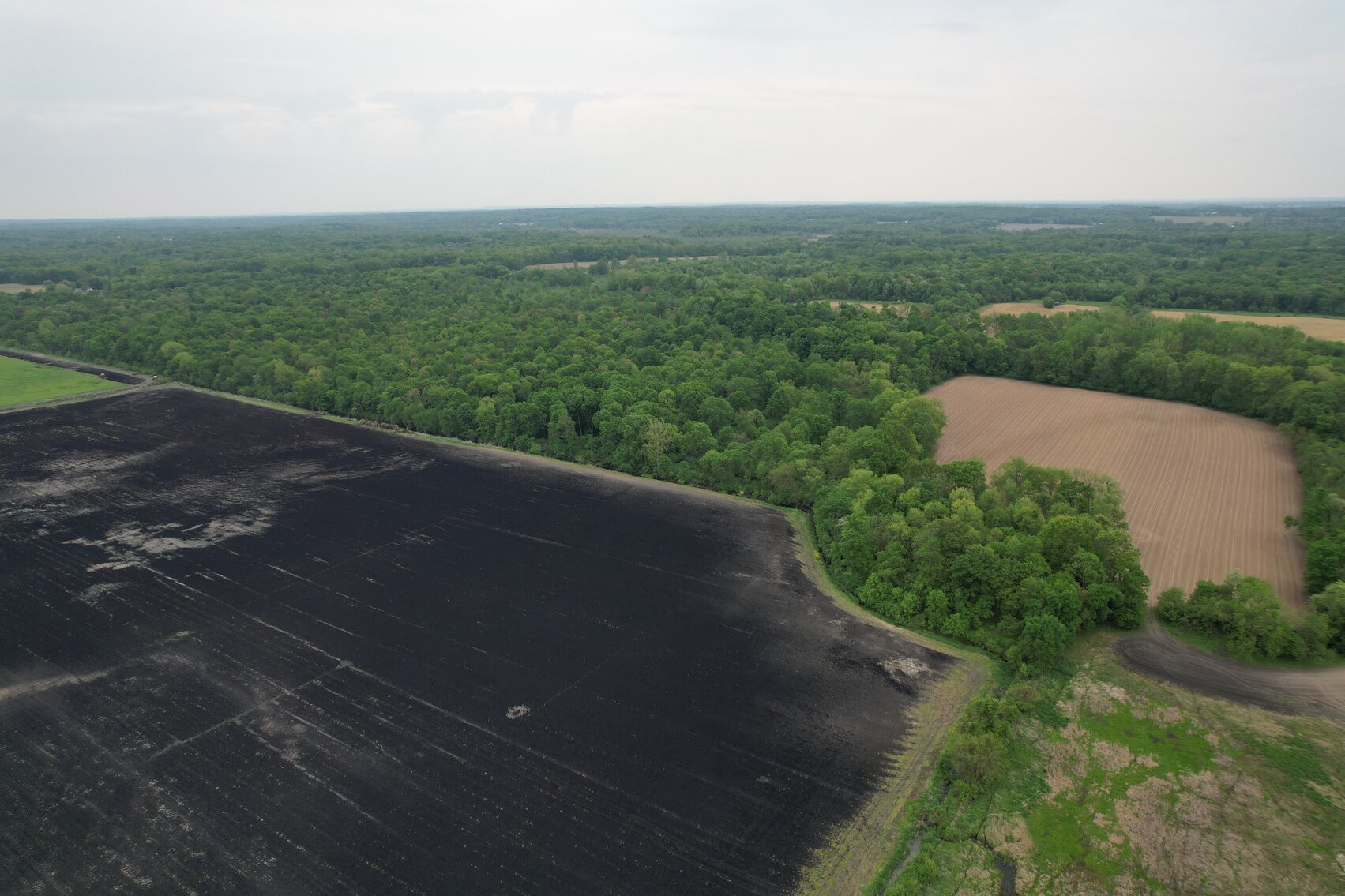 Image for MINIMUM BID AUCTION $399,000! 21273 Obsorn St.