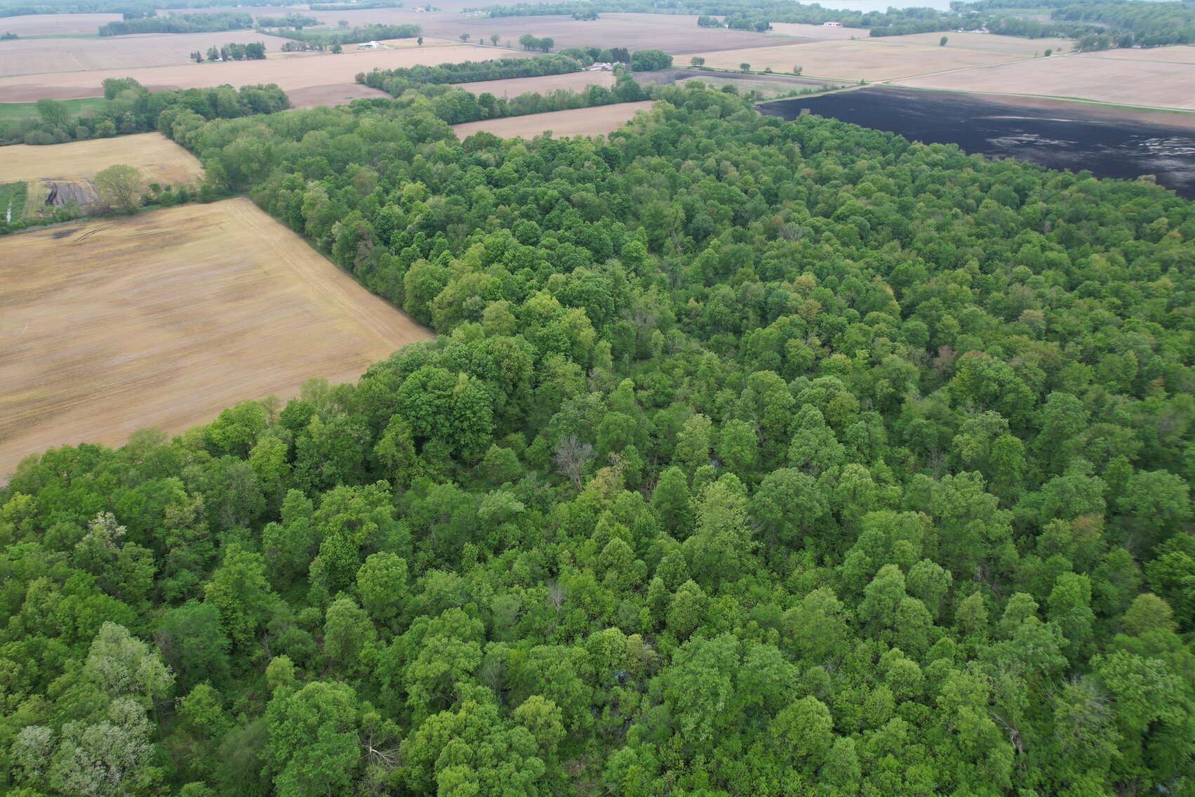 Image for MINIMUM BID AUCTION $399,000! 21273 Obsorn St.