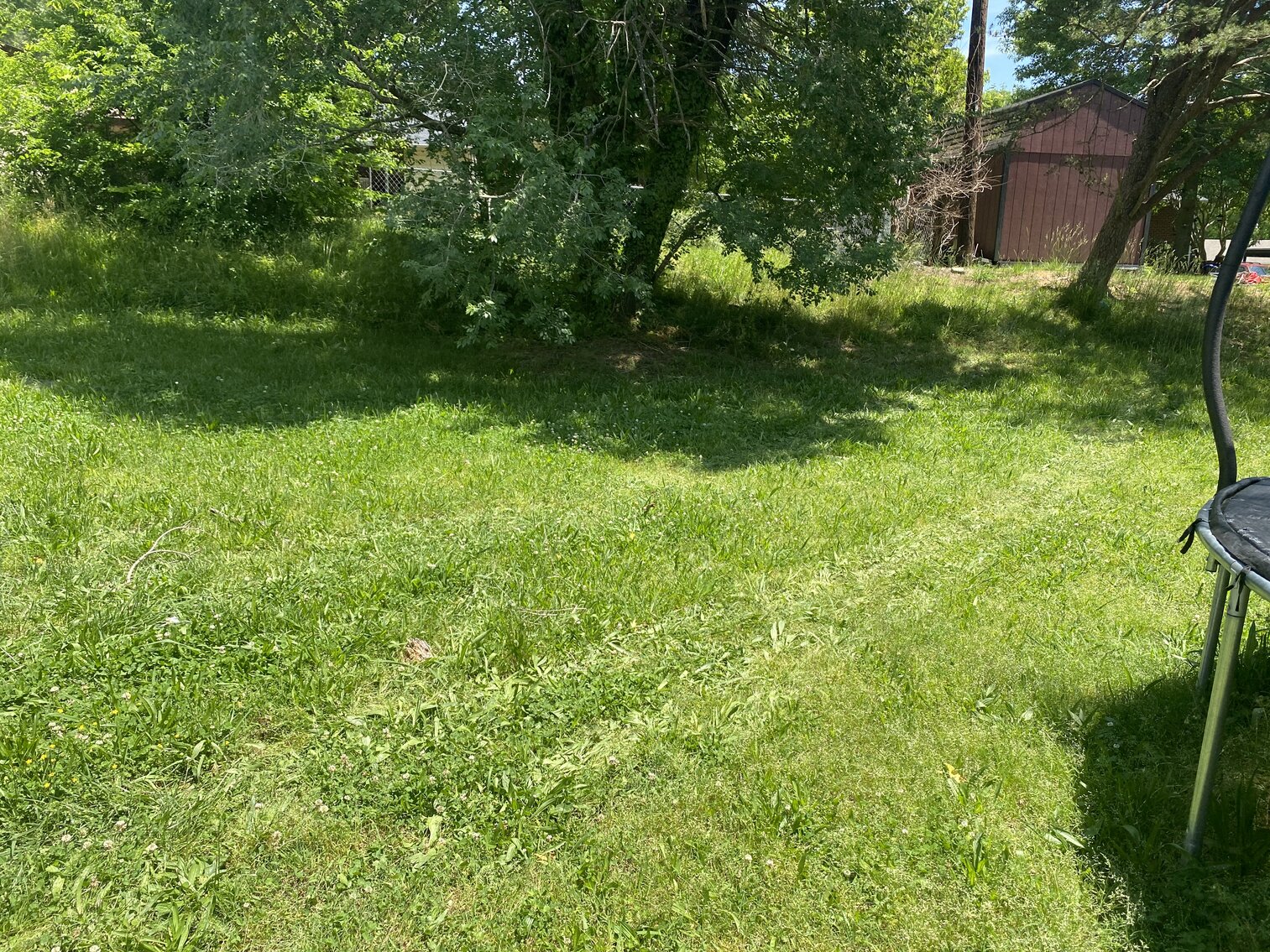 Image for US Marshals Service Auction - Alamance County, NC