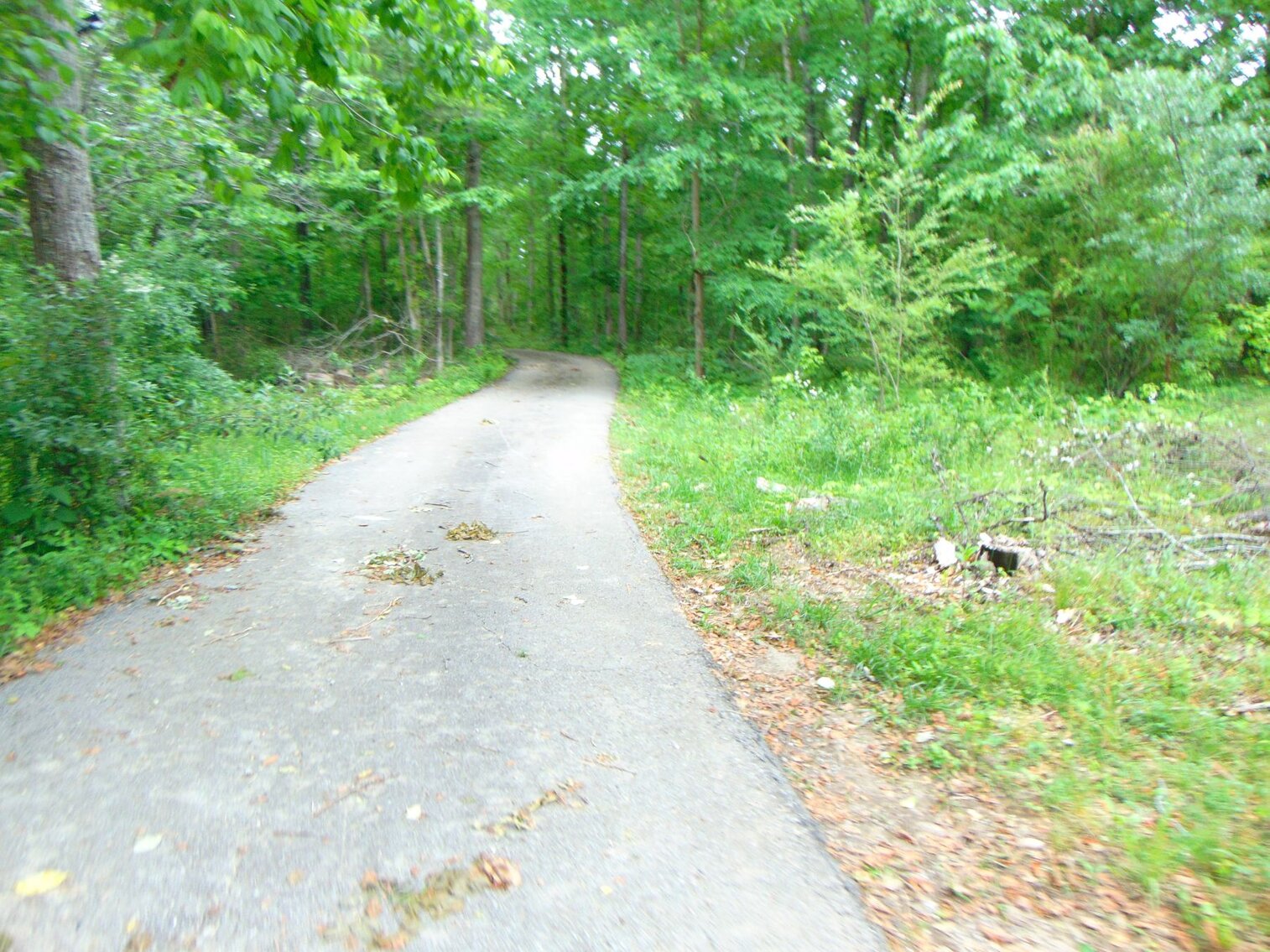 Image for Estate Auction 7 acres on Morris Road - Lewis County - House & 7.3 acres