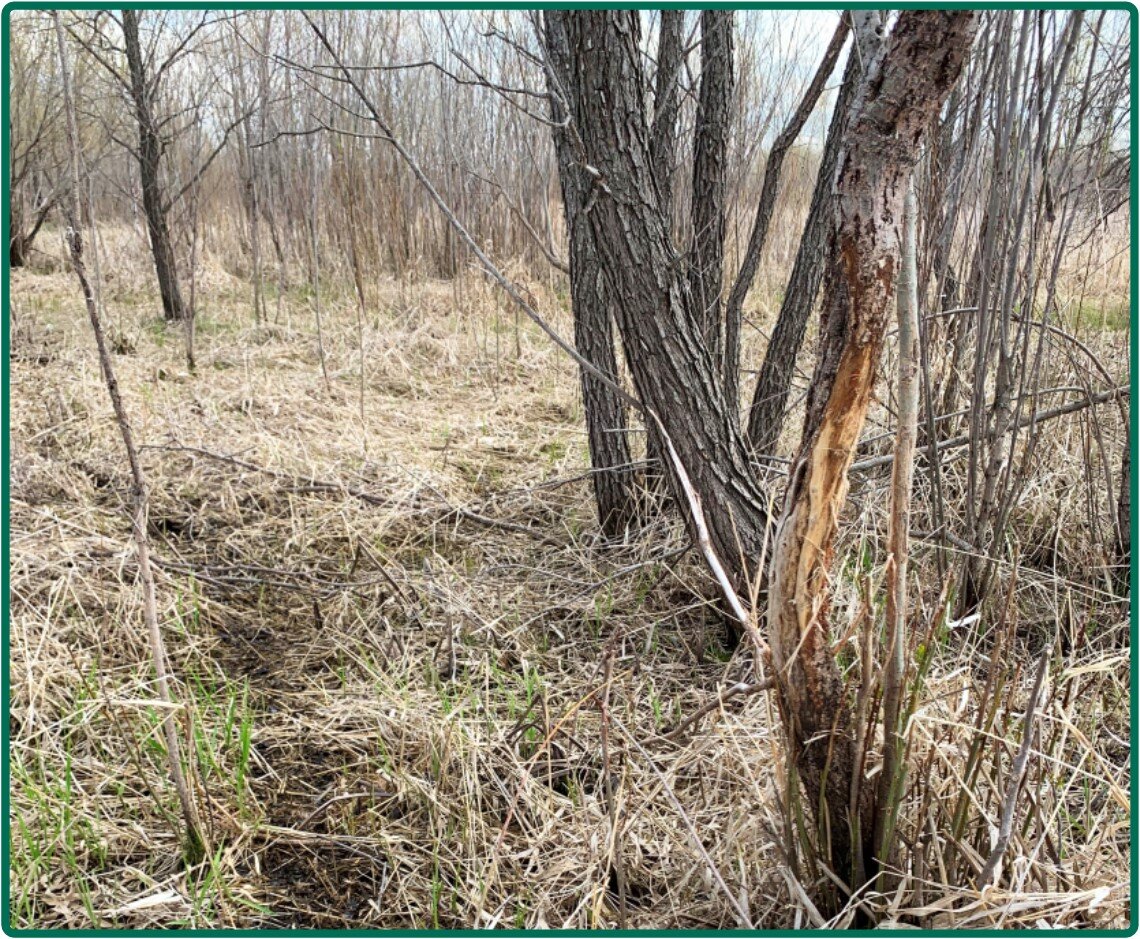 Image for Closed - Blue Earth Co., MN - 102.37 Ac., m/l (190-0188)