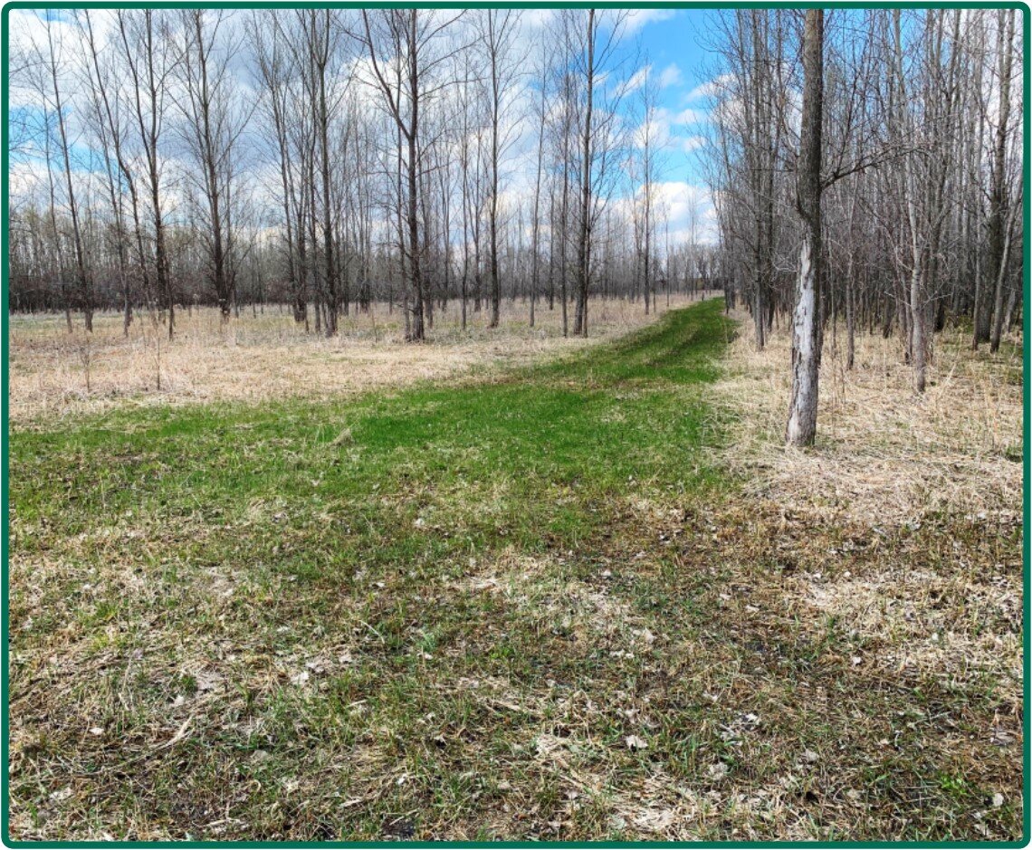 Image for Closed - Blue Earth Co., MN - 102.37 Ac., m/l (190-0188)