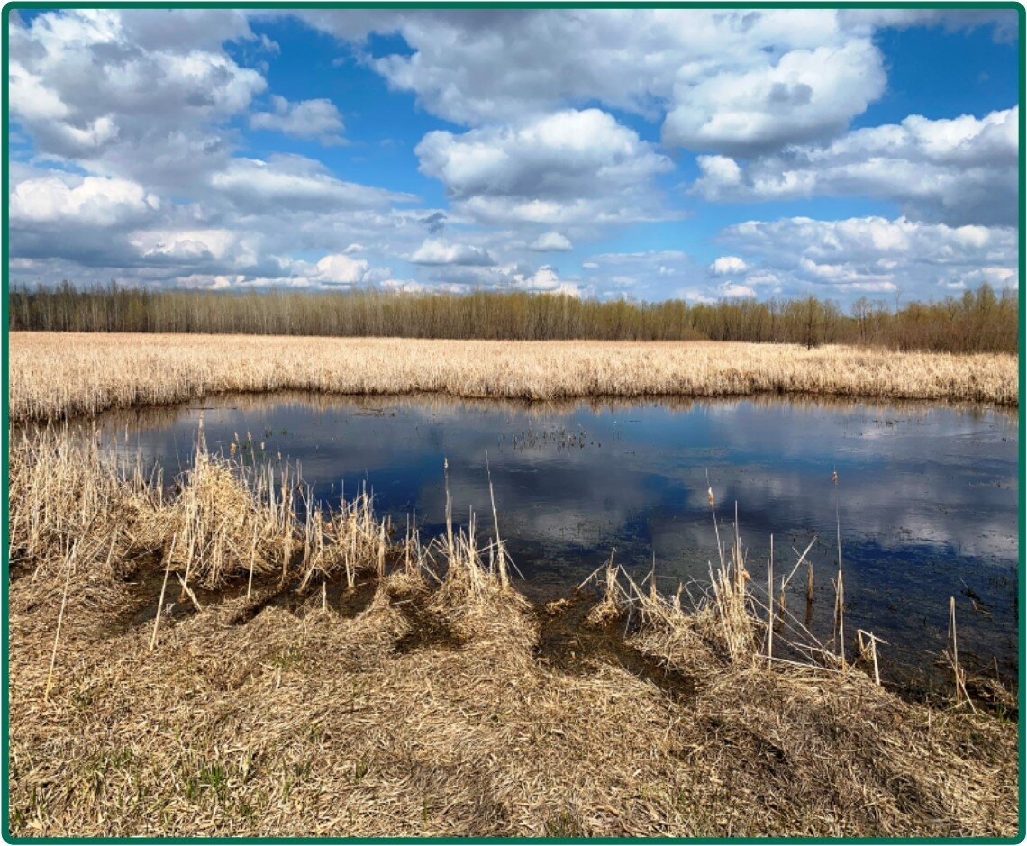 Image for Closed - Blue Earth Co., MN - 102.37 Ac., m/l (190-0188)