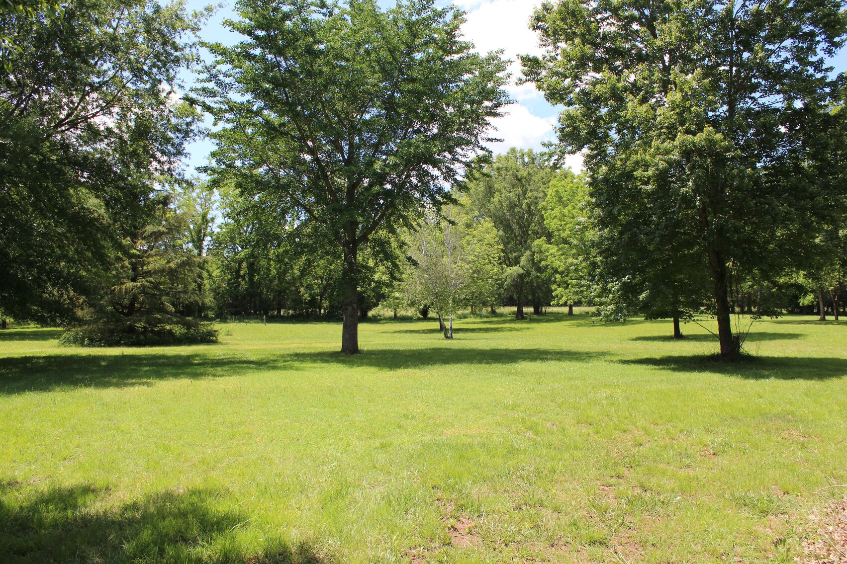 Image for 1006 Corinth Road, Mt. Juliet