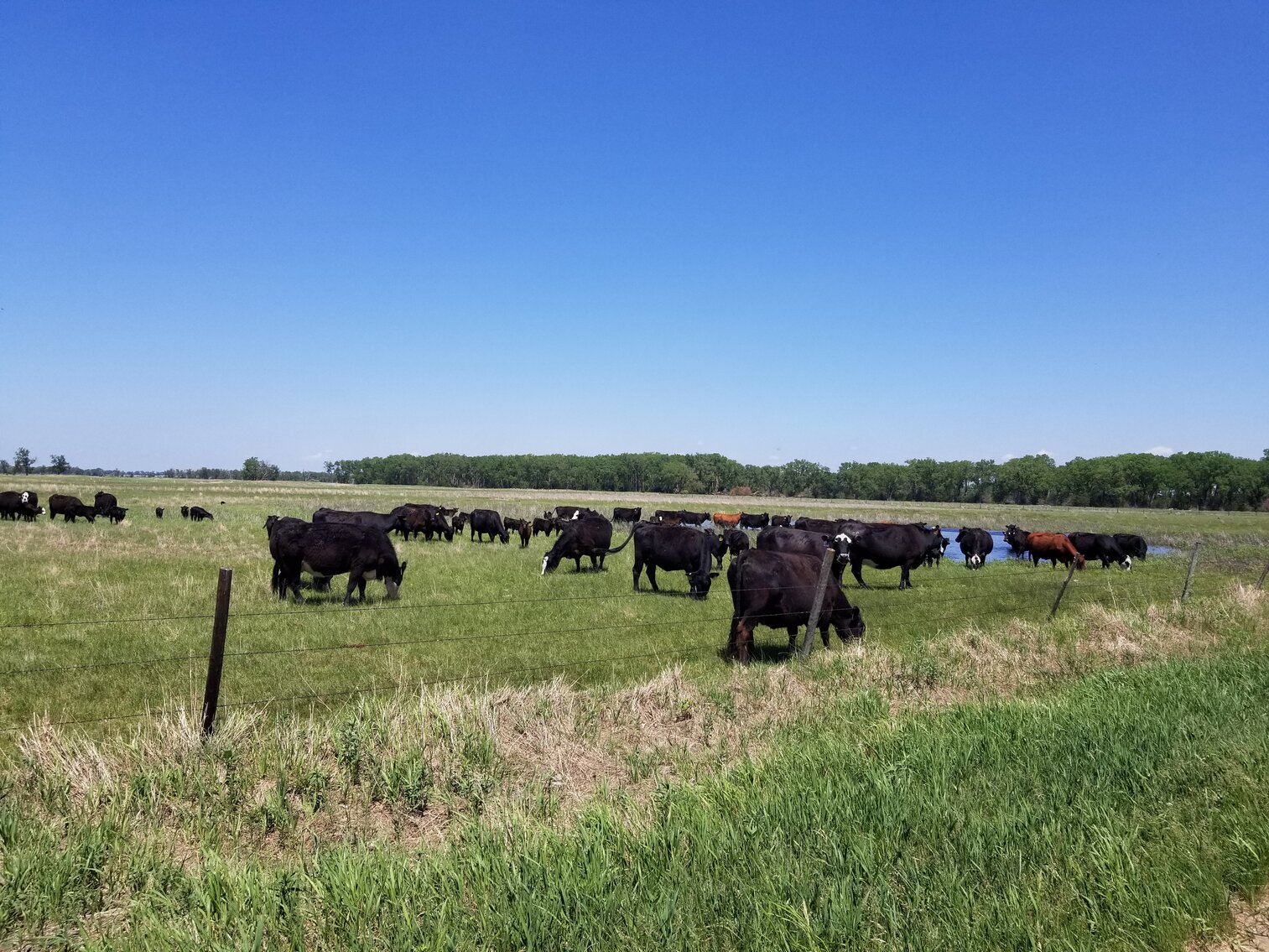 Image for 162.53+/- Acres in Holt County, NE South of Chambers, NE