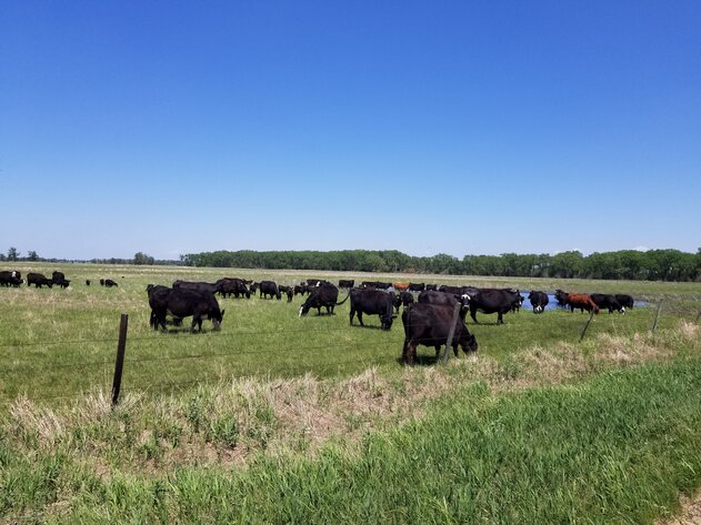 Image for 162.53+/- Acres in Holt County, NE South of Chambers, NE