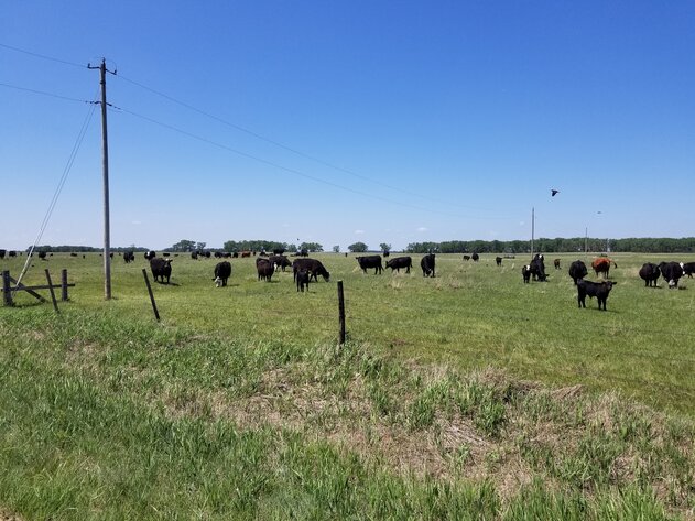 Image for 162.53+/- Acres in Holt County, NE South of Chambers, NE