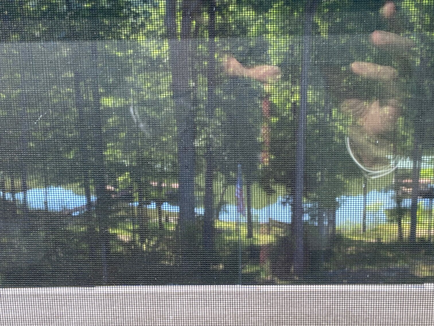 Image for ABSOLUTE ESTATE AUCTION • LAKE BARKLEY WATERFRONT HOME