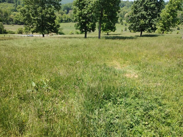 Image for Kirby Road Draper & Oglesby Road Wytheville House and Acreage Equipment and Personal Property