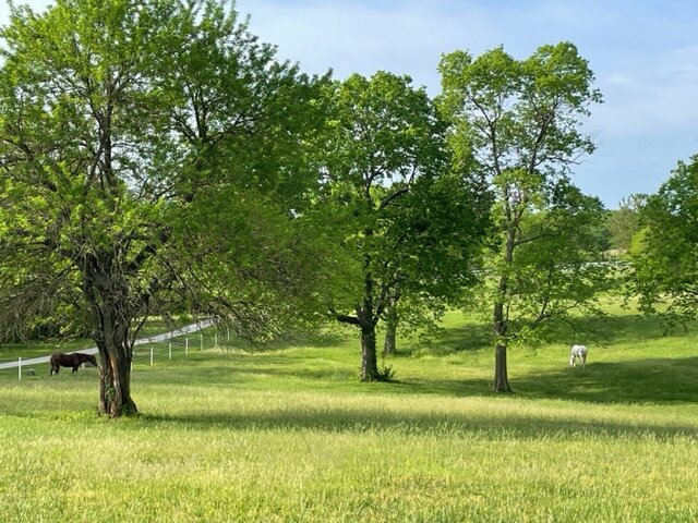 Image for SOLD - 10.58 +/- Acres @ 15420 NE 162nd St. Kearney, MO. 64060