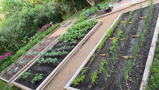 Image for SOLD - 10.58 +/- Acres @ 15420 NE 162nd St. Kearney, MO. 64060