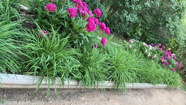 Image for SOLD - 10.58 +/- Acres @ 15420 NE 162nd St. Kearney, MO. 64060