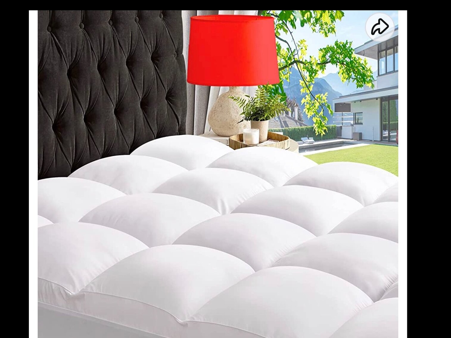 Image for June 15 Variety Auction