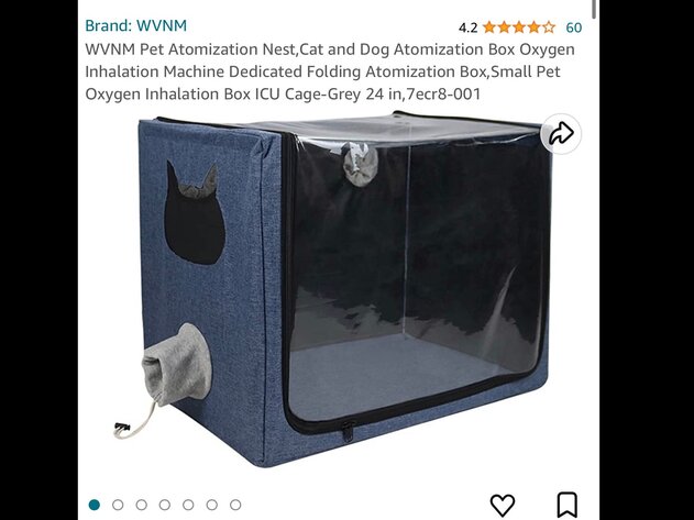 Image for June 15 Variety Auction