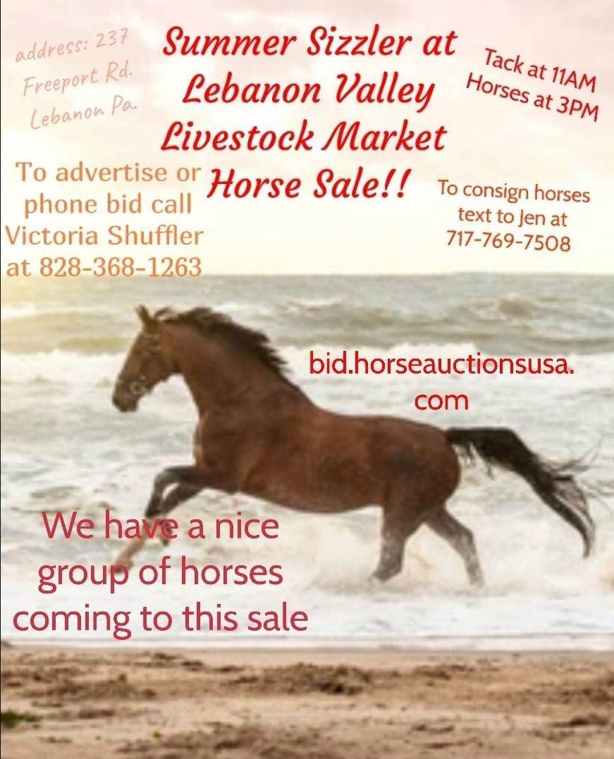 Lebanon Valley Horse Sale, June 2023