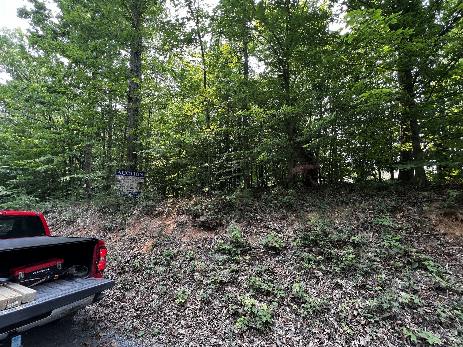 Image for Lot - 5 - (Real) 10.03 acres, more or less, Lot 2A, Pie Island West, on Richards Ferry Road, Tax Map 71-11-A1 (Behind 34160 Richards Ferry Rd., Richardsville)